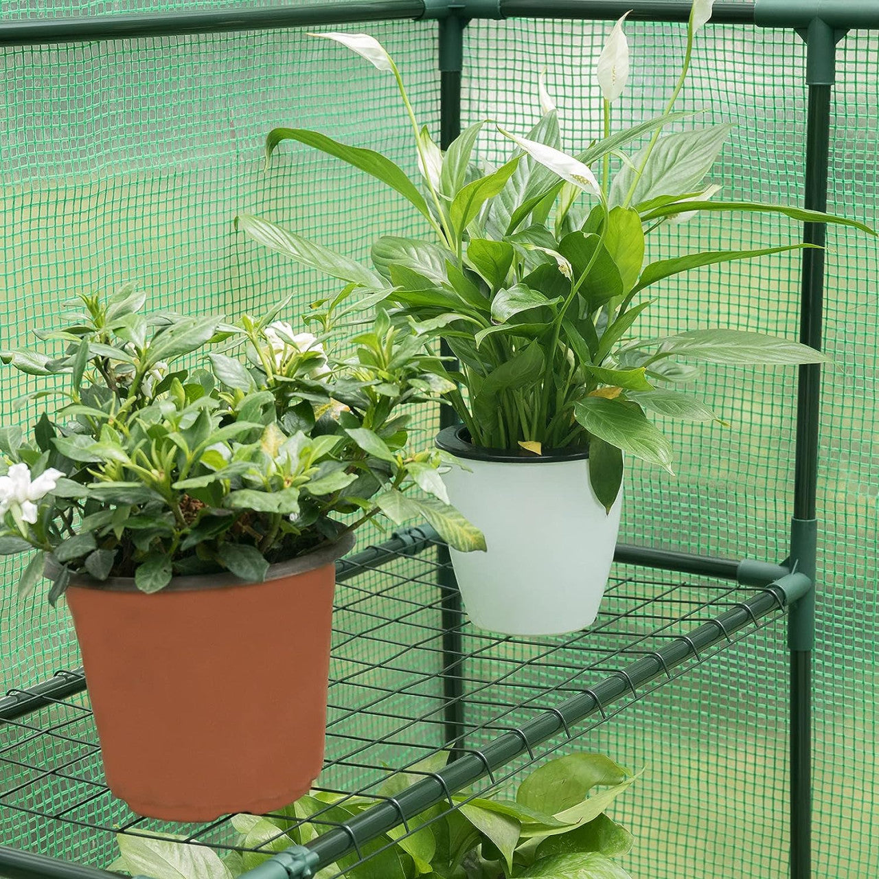 24goodz Greenhouse - Ideal Plant Protection - Durable PE Material - For Garden Lovers - 143x143x195 cm - White/Green - gn