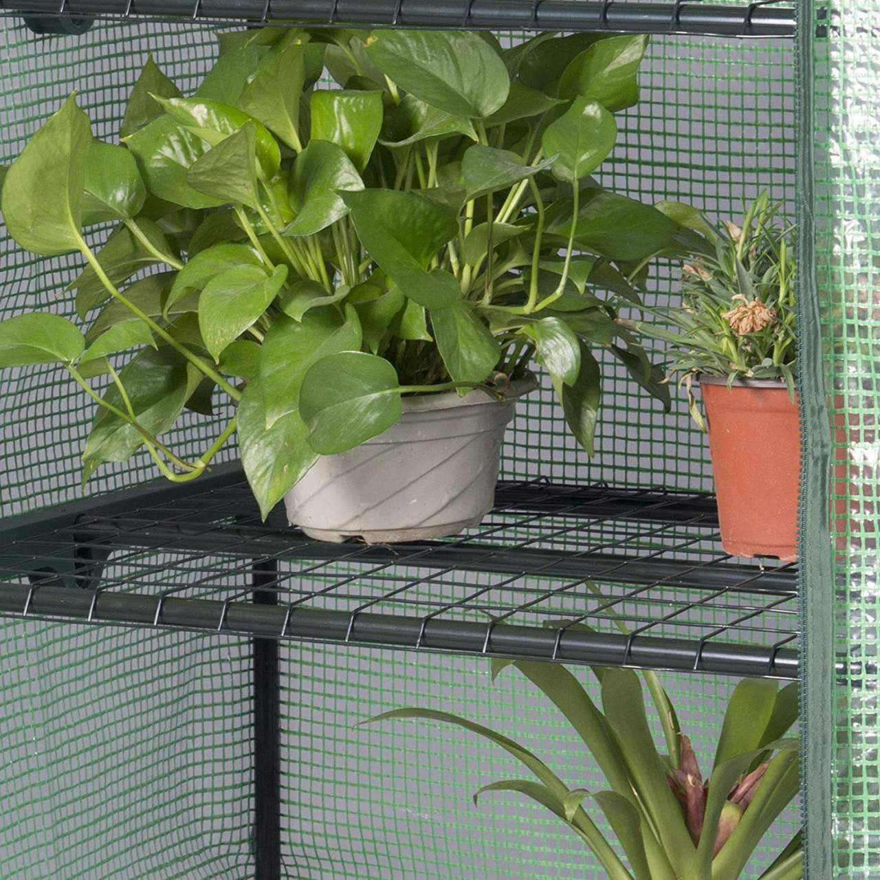 24goodz Mini Greenhouse - Durable and Stable - Waterproof PE Material - For Garden Enthusiasts - White/Green 69x49x158 cm - gn