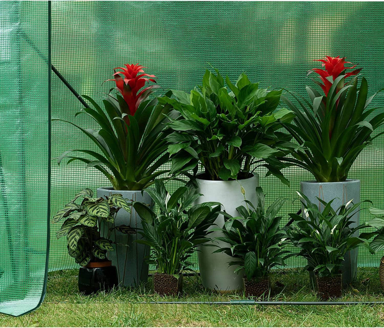 24goodz Greenhouse PE Semi-Transparent - Protects Plants from Weather - Easy Assembly - PE - For Garden Lovers - 200 x 77 x 146/169 cm - Green - gn