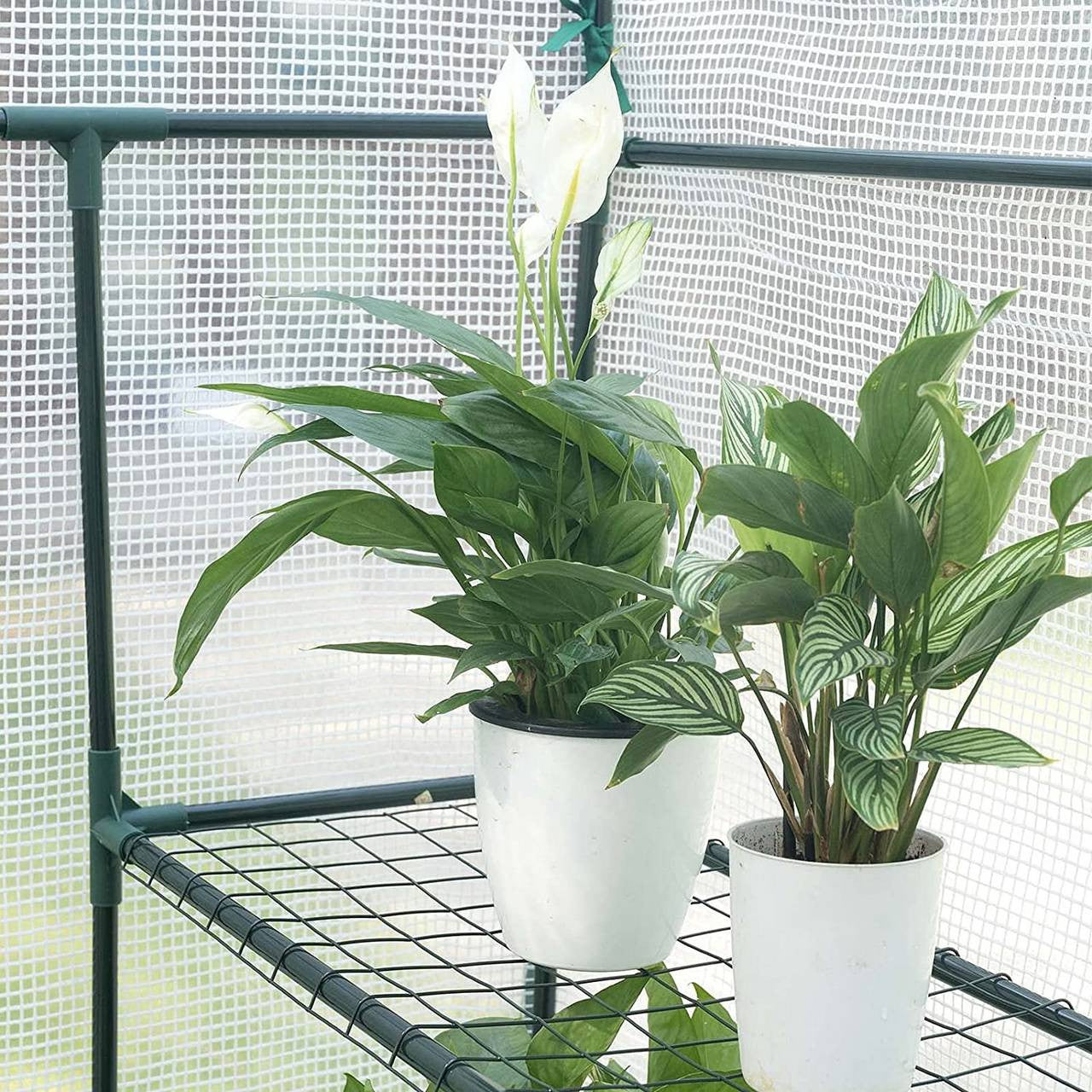 24goodz Greenhouse 143x215x195 cm - Perfect for Growing Plants - UV-Resistant PVC - For Garden Enthusiasts - White/Green - ws