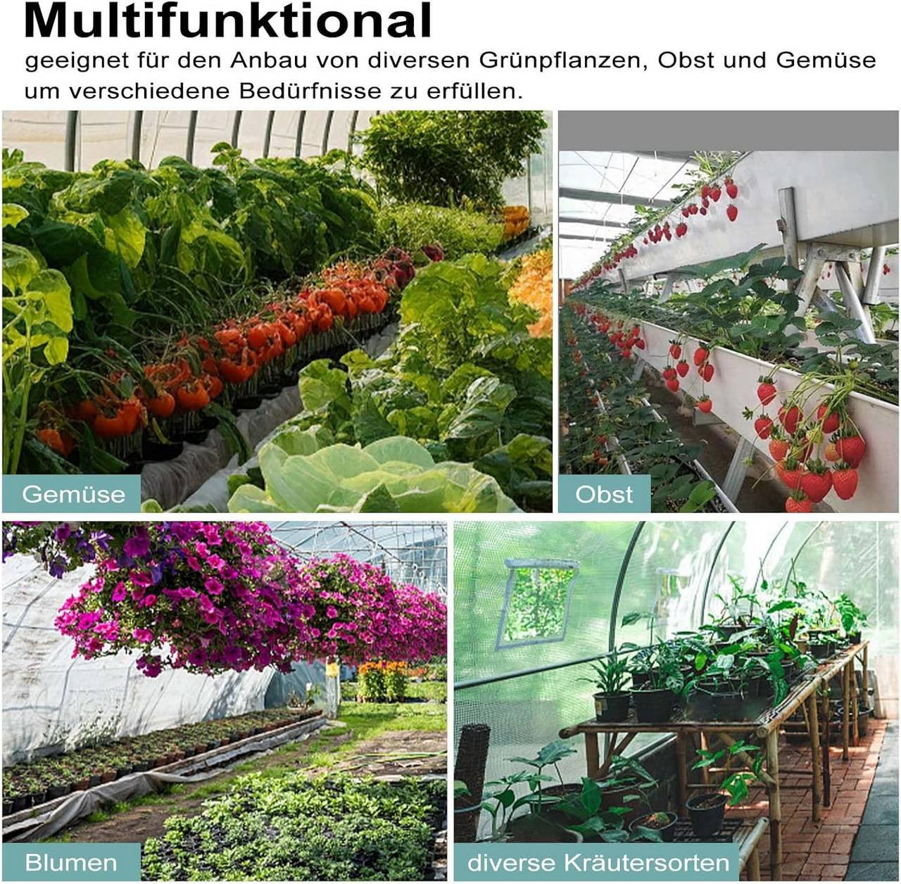 24goodz Greenhouse with Door and 6 Windows - Effective Plant Protection - Premium Quality - Steel and PE Mesh - For Garden Enthusiasts - 300 x 300 x 200 cm
