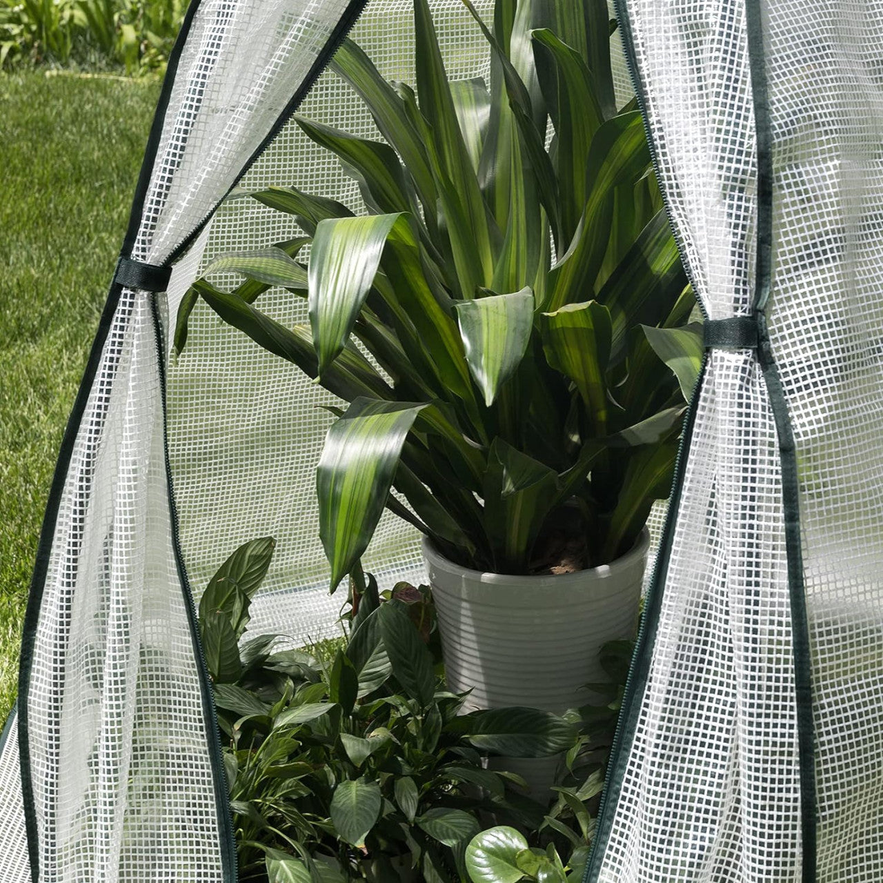 24goodz Greenhouse - Comprehensive Protection - Robust and Durable - PE Fabric - For Garden Enthusiasts - White/Green 160x180cm - ws