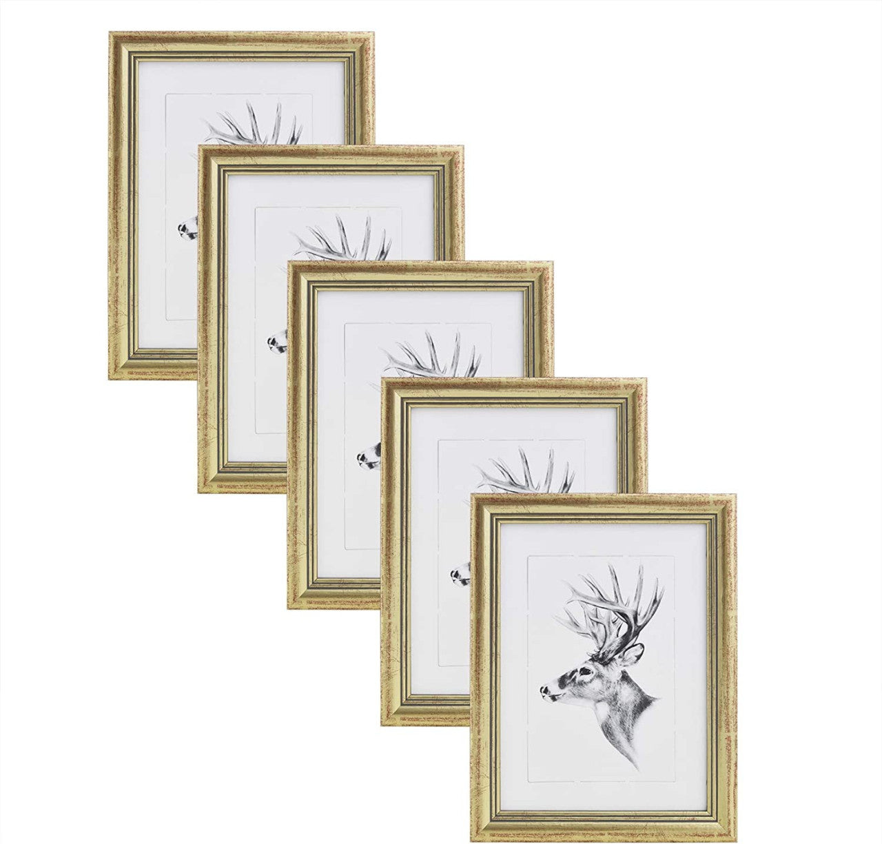 24goodz Set of 5 Wooden Photo Frames - High-Quality Solid Wood - Versatile Display Options - Solid Wood + Glass - Multi-Colour - 10 x 15/13 x 18/15 x 20/20 x 30/21 x 29.7 (A4)/30 x 40/18 x 24/20 x 25 cm - gd