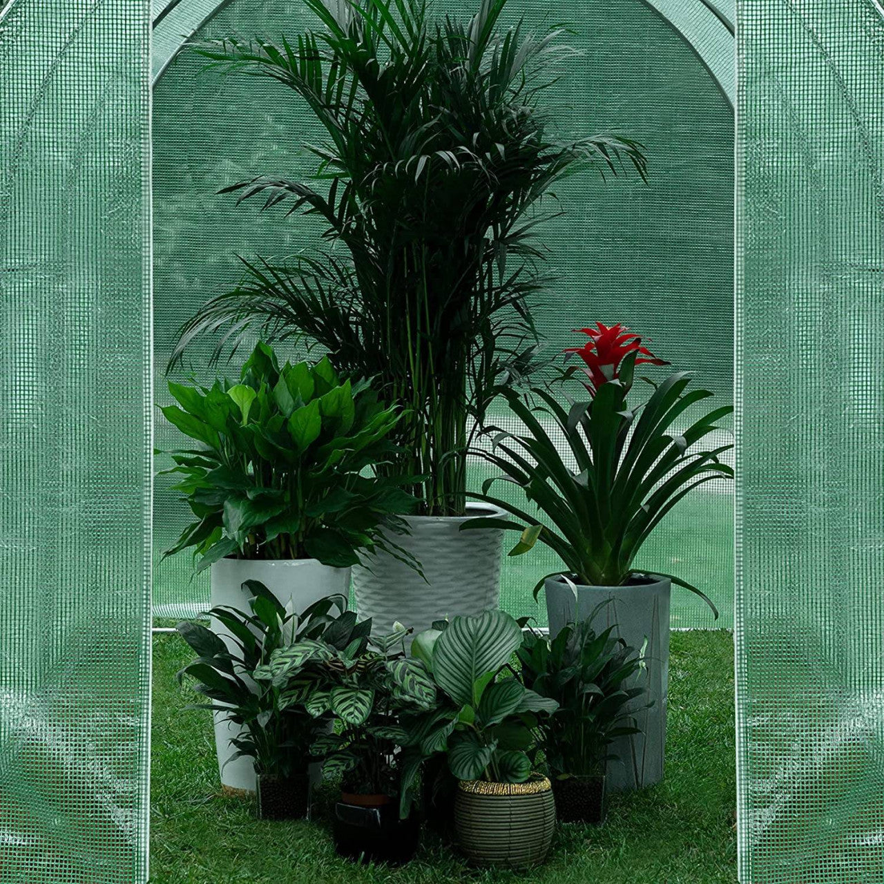 24goodz Greenhouse 300x200x200 cm - Effective Protection for Your Plants - Easy to Assemble - PE Mesh - For Gardening Enthusiasts - Green - gn