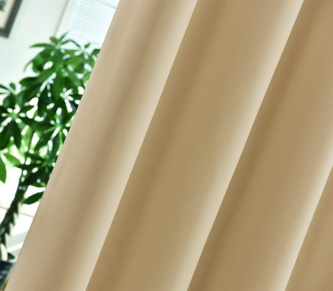 24goodz Sheer Curtains with Eyelets - Energy Saving & Sound Absorbing - 100% Polyester - Champagne - 135x225 cm - cp