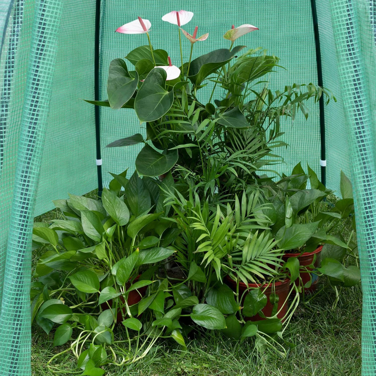 24goodz Greenhouse - Comprehensive Protection - Robust and Durable - 140 g/m2 PE - For Garden Enthusiasts - White/Green 160x180cm - gn